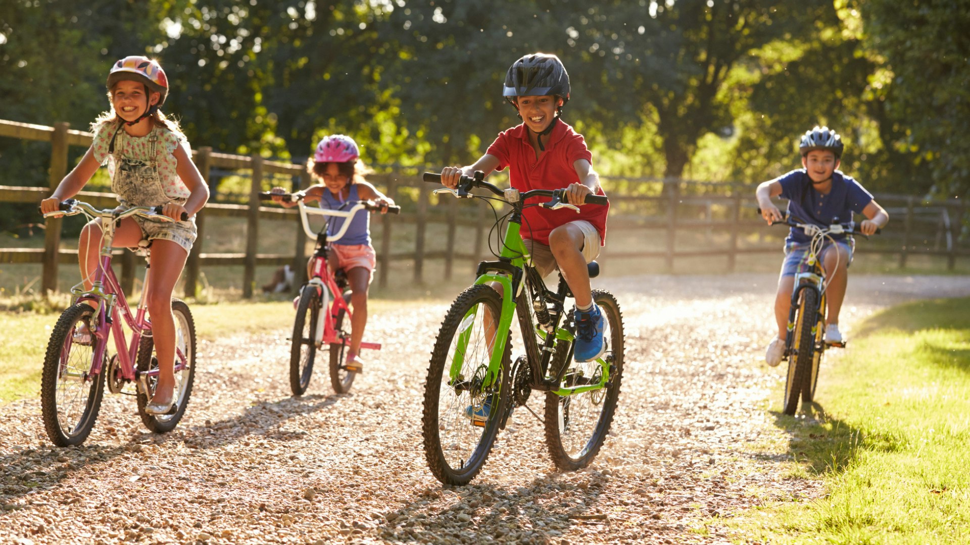 Moana bike halfords sale
