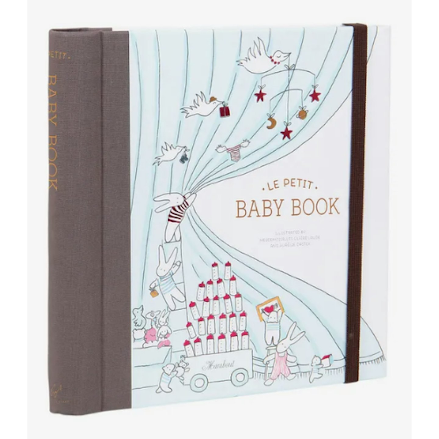 Baby Books: What to Record, What's a Waste of Time and How to Organize all  those Milestones - Enjoying the Small Things