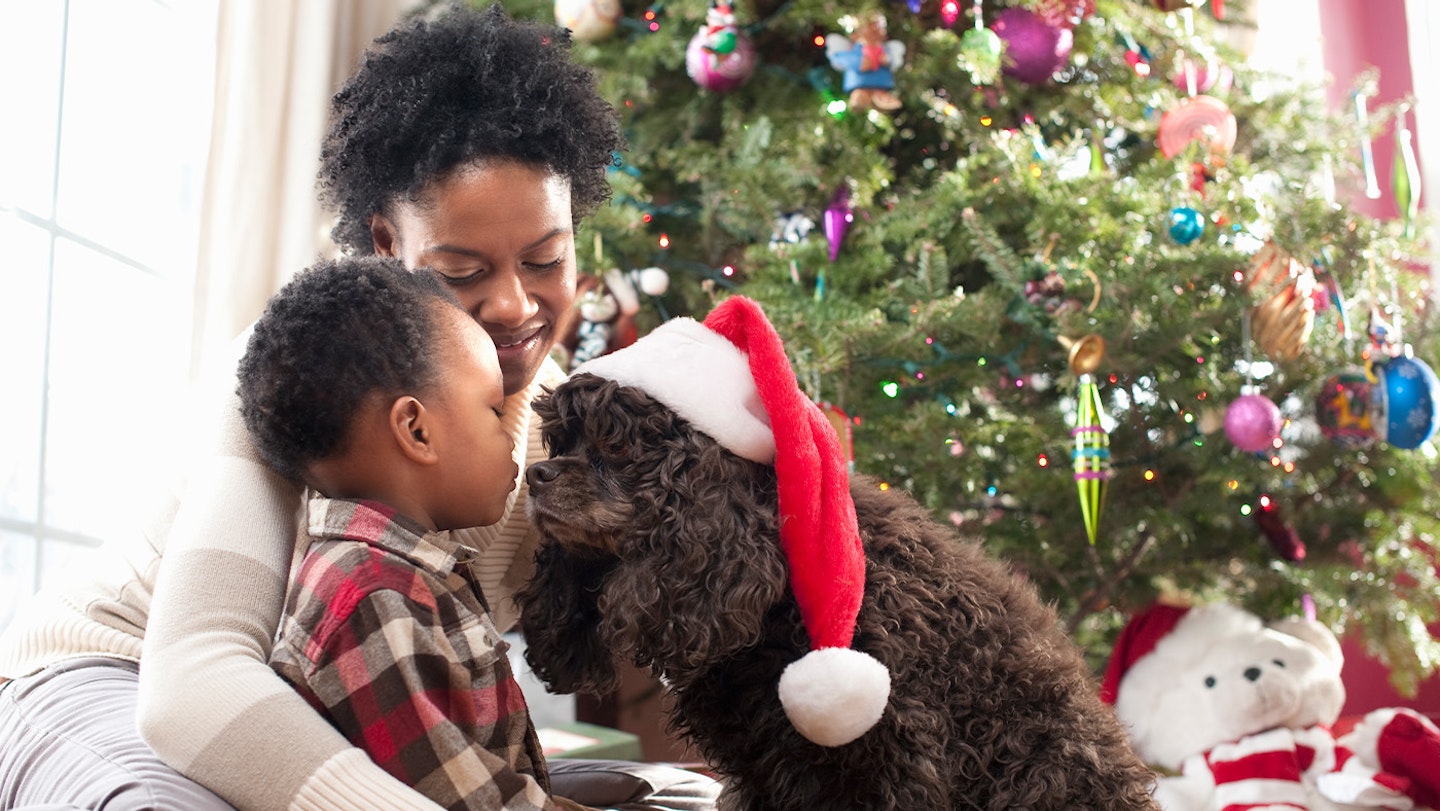 baby-at-christmas-with-dog