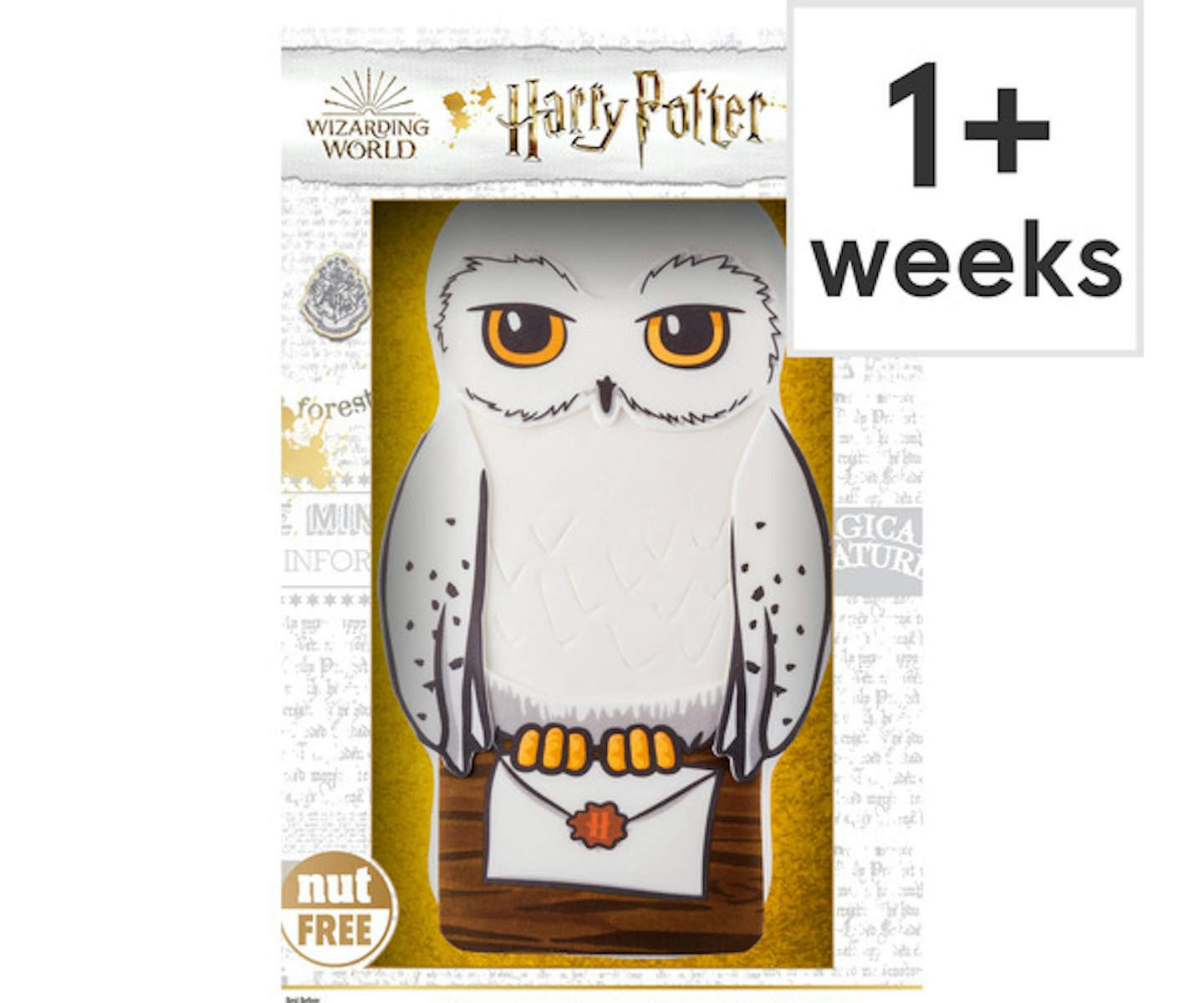 Harry Potter Hedwig Celebration Cake