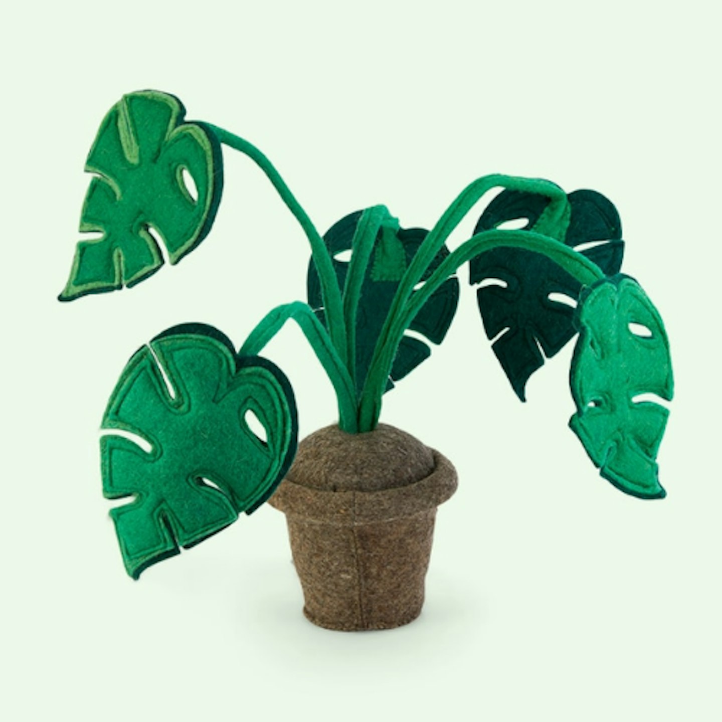 Kids Depot Monstera Plant