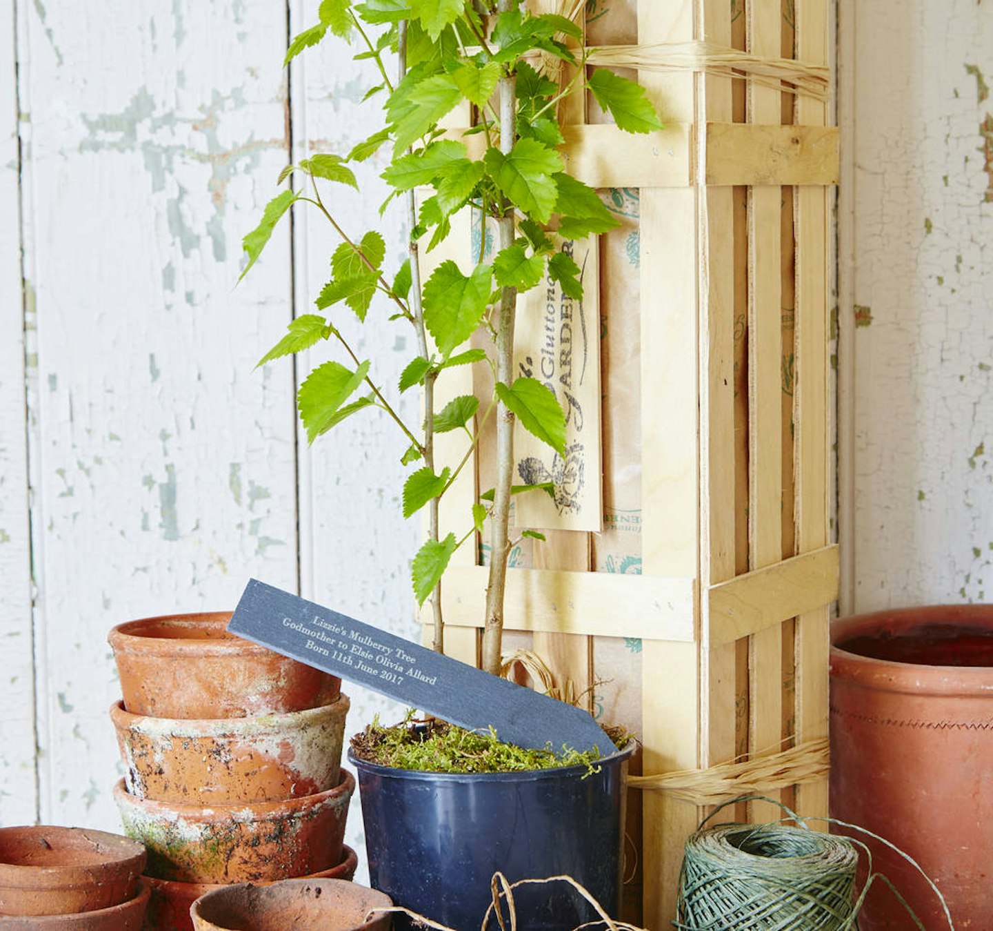 Gifts for godparents Personalised Godmother Mulberry Tree Gift