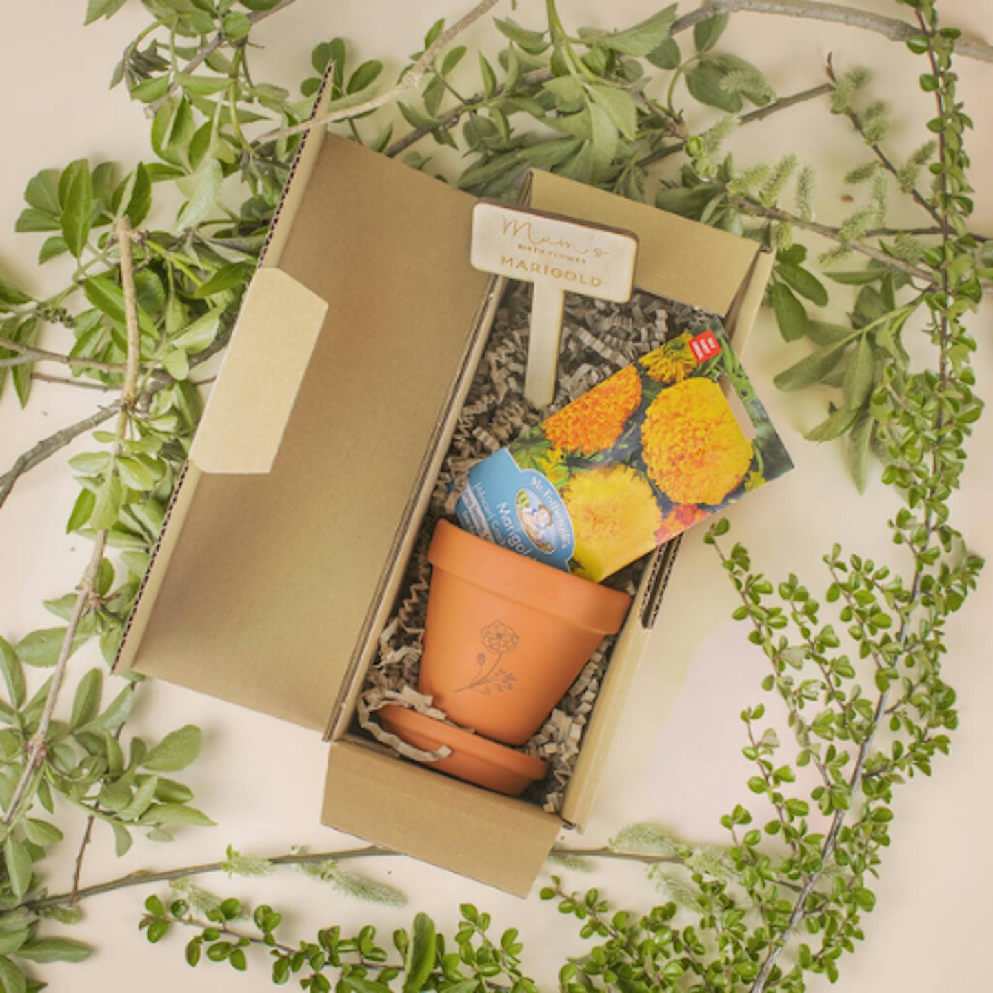 Birthflower Seed Box Set mum to be gift