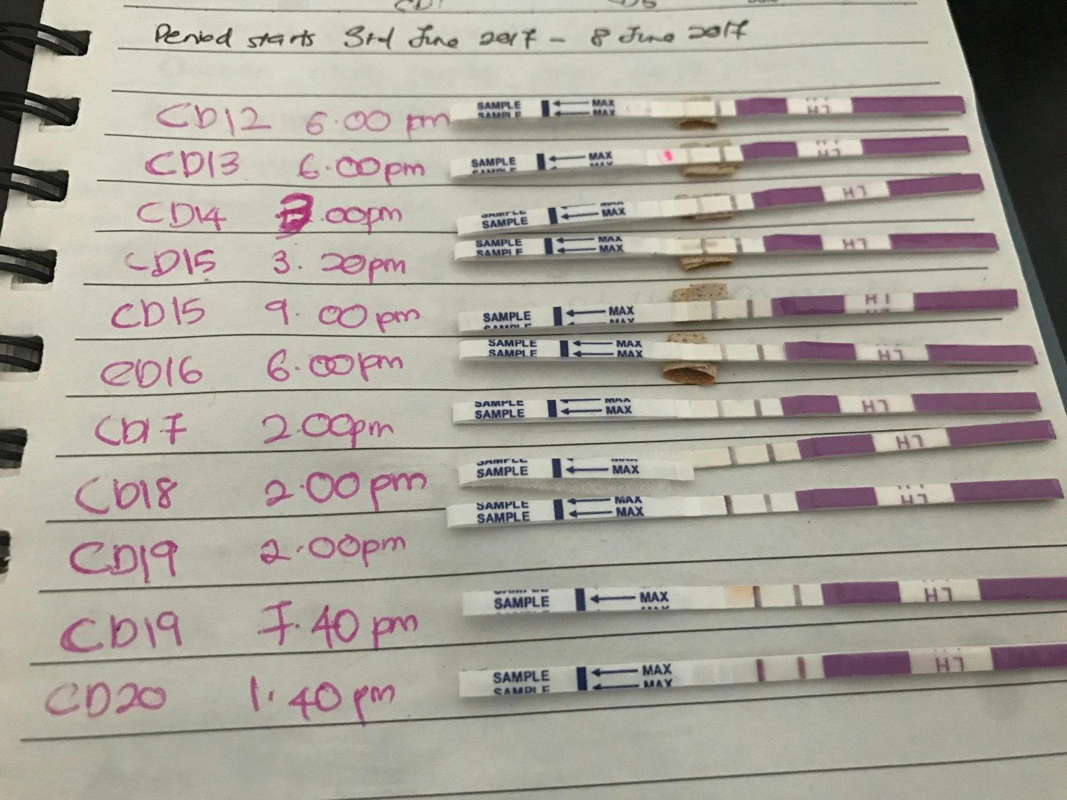 What Does A Positive Ovulation Test Look Like?