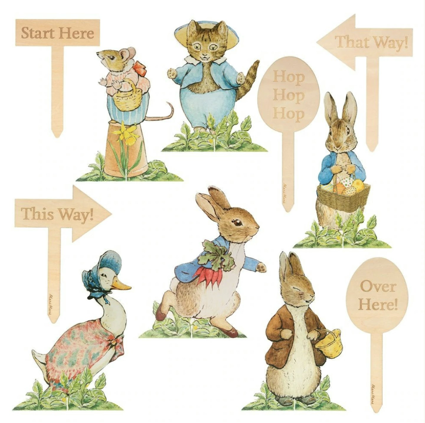 peter rabbit hunt