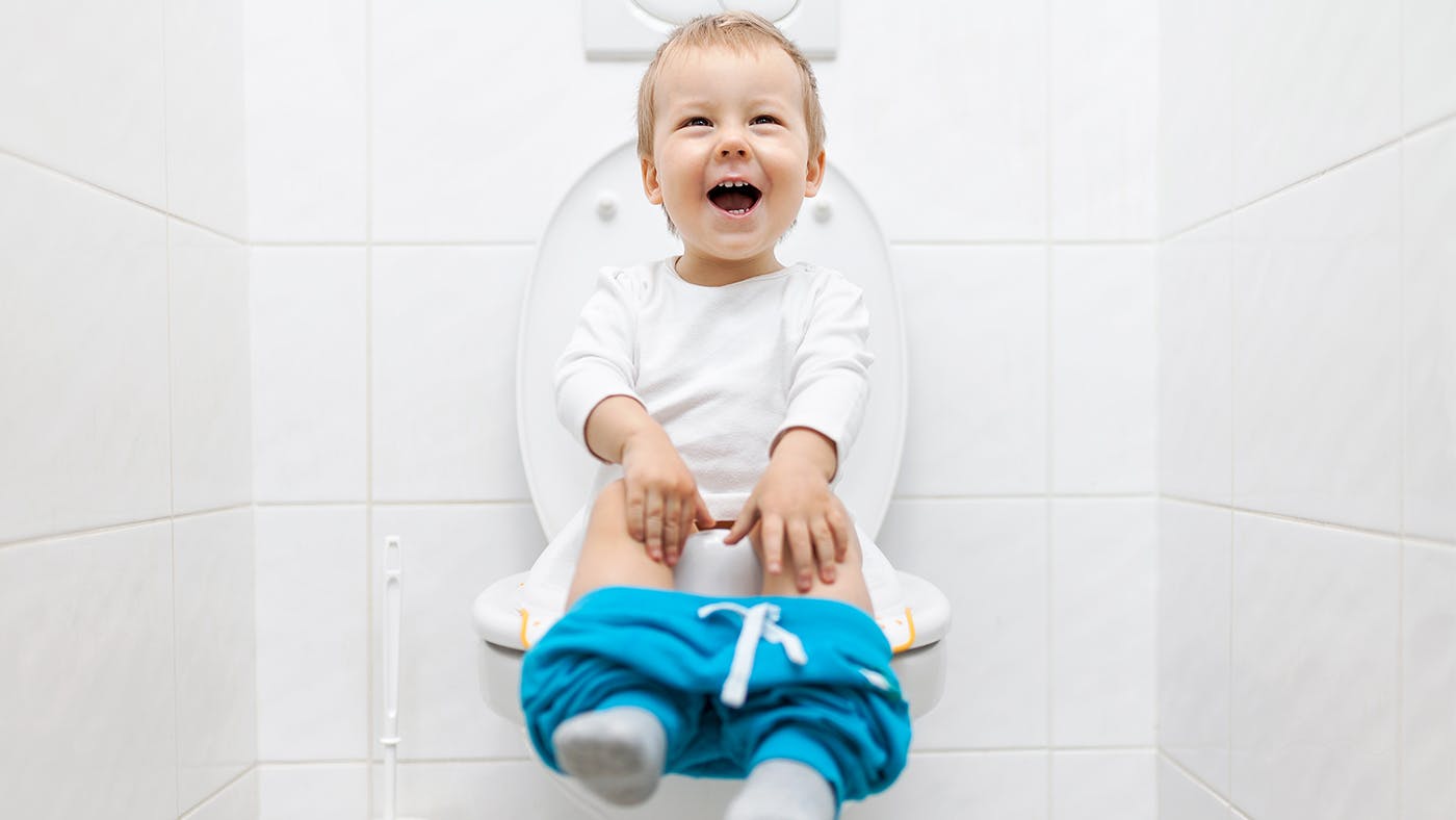 Potty seat for toilet clearance that attaches to toilet