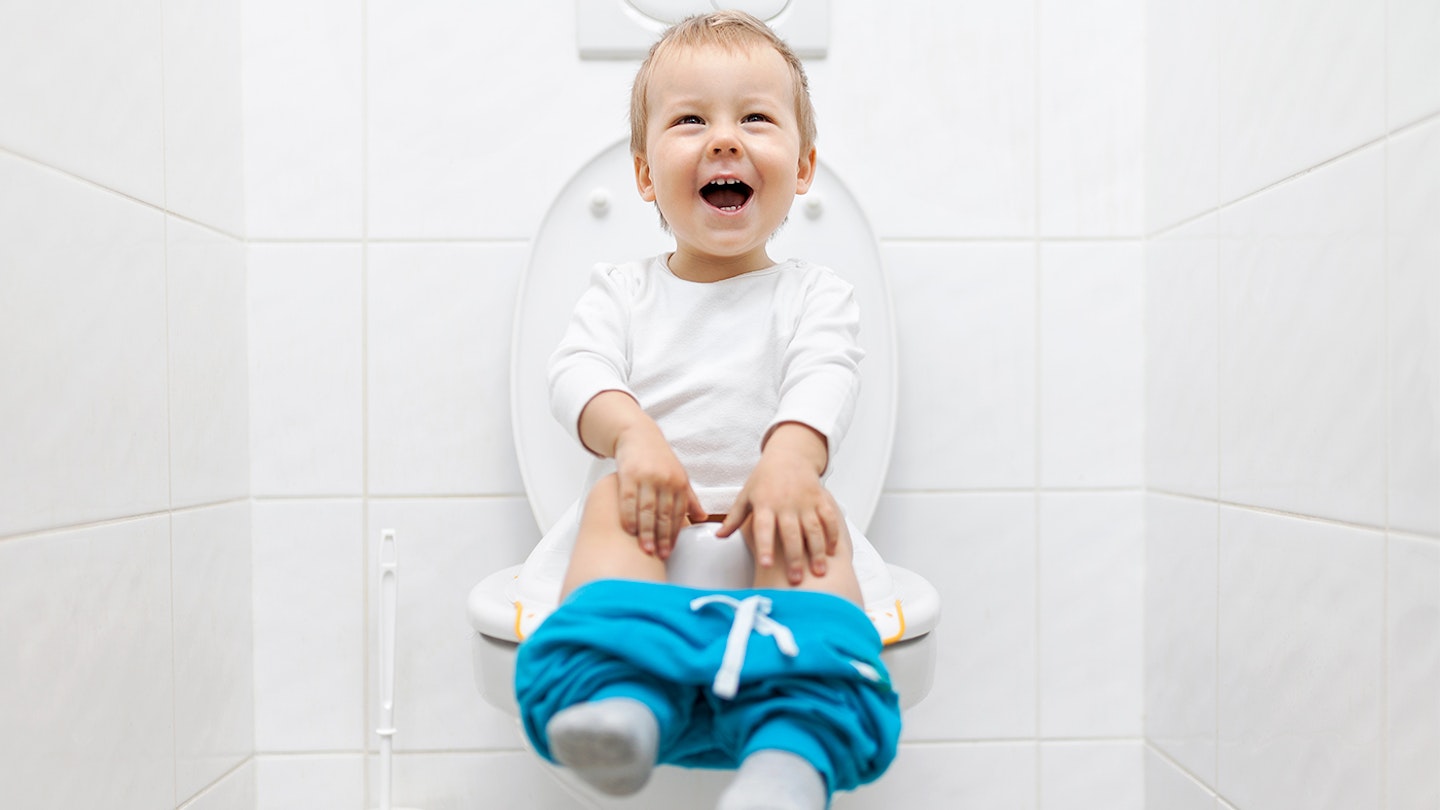 The best potty seats for toilet 2022