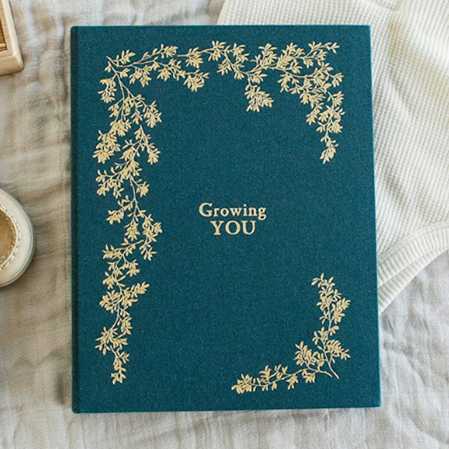 Growing You_ A Pregnancy & Birth Story Book