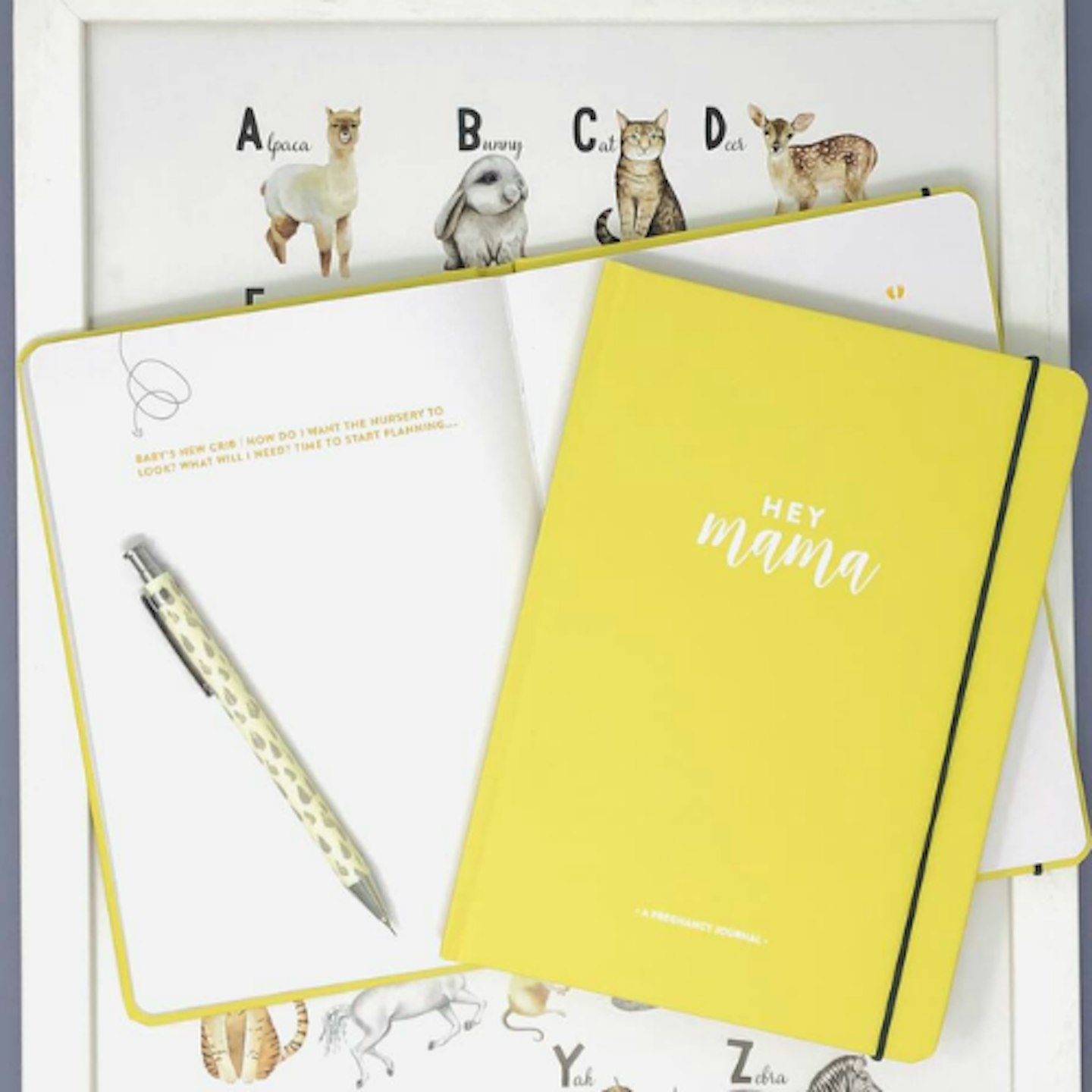 Pregnancy Journal And Planner