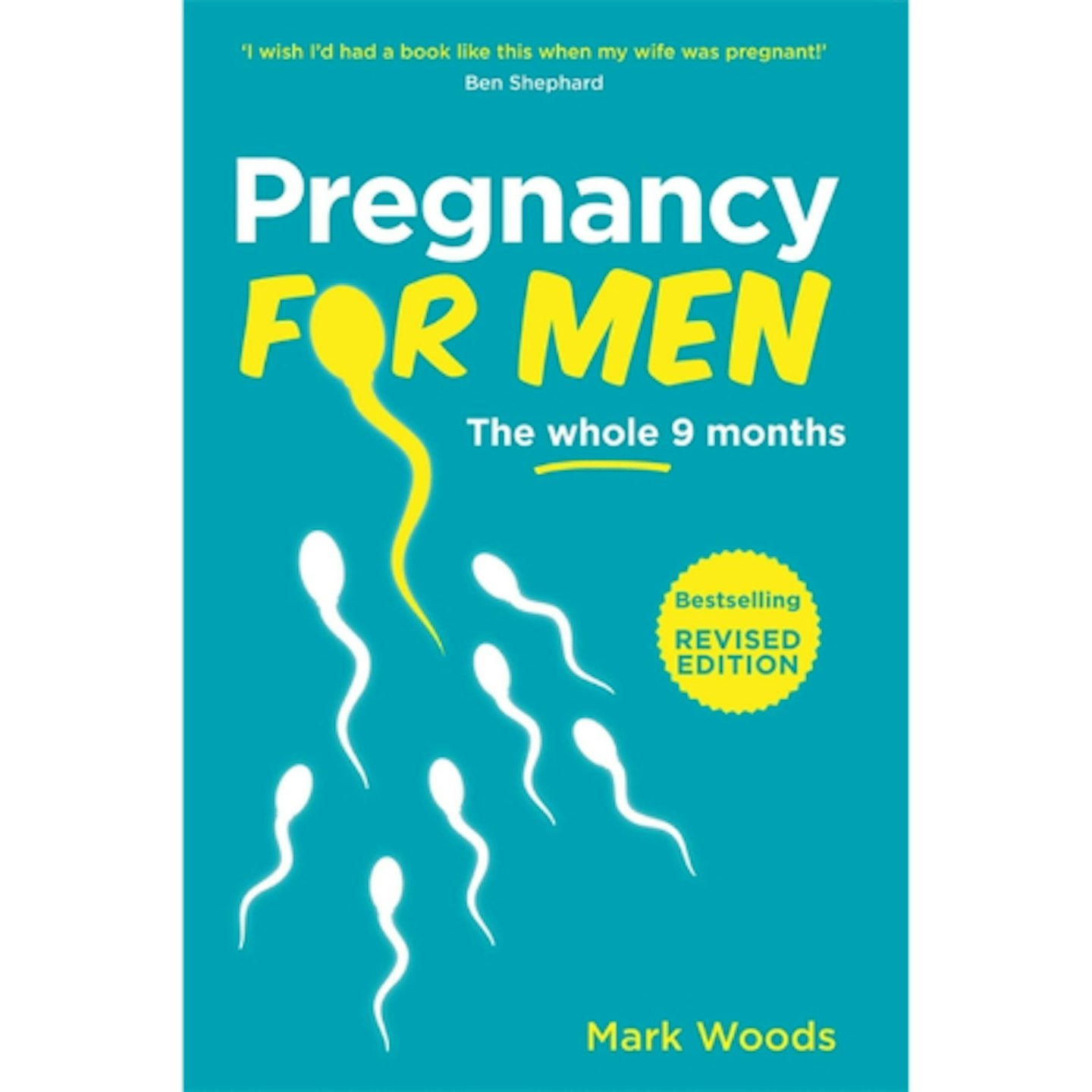 Pregnancy for Men