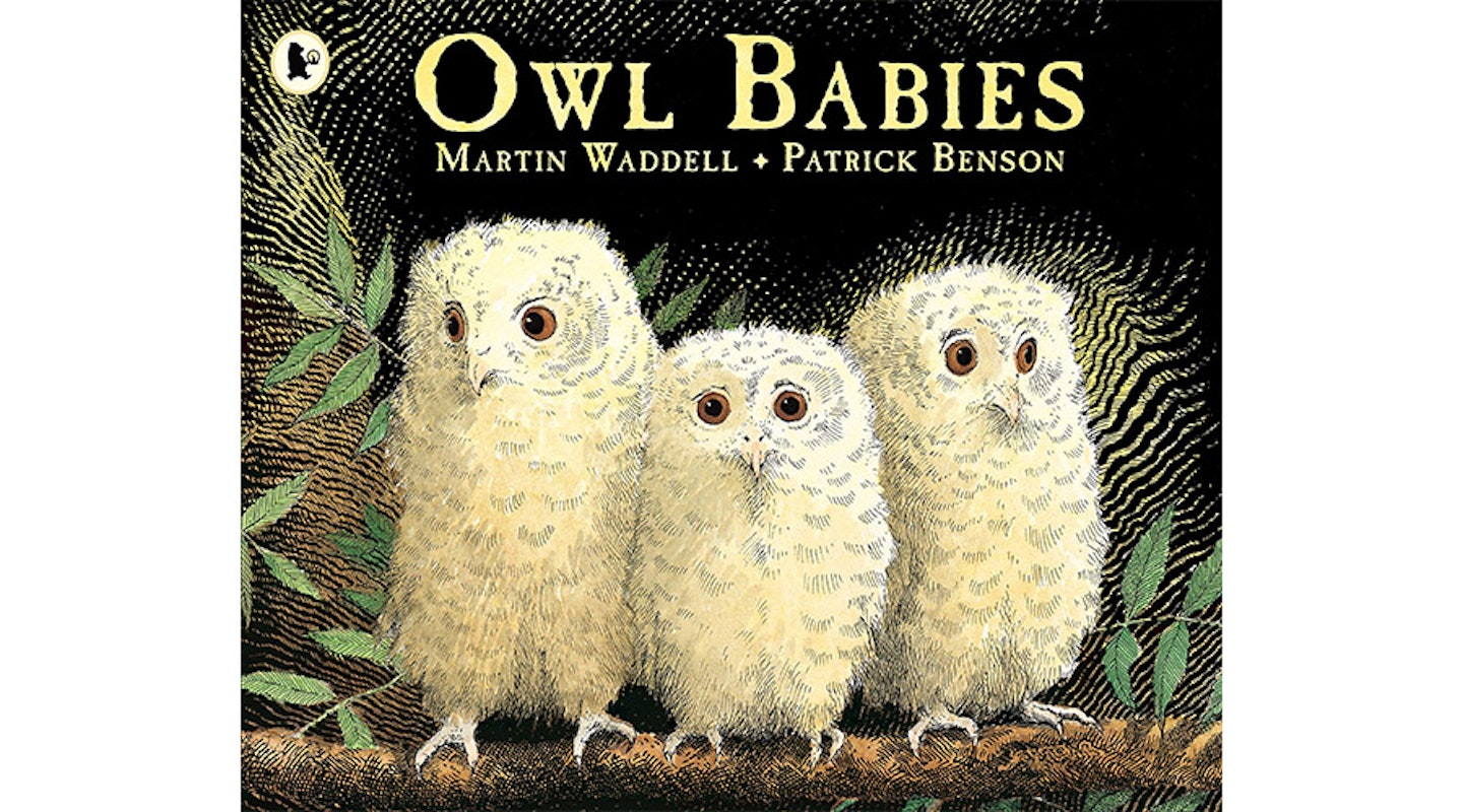 Owl Babies baby book