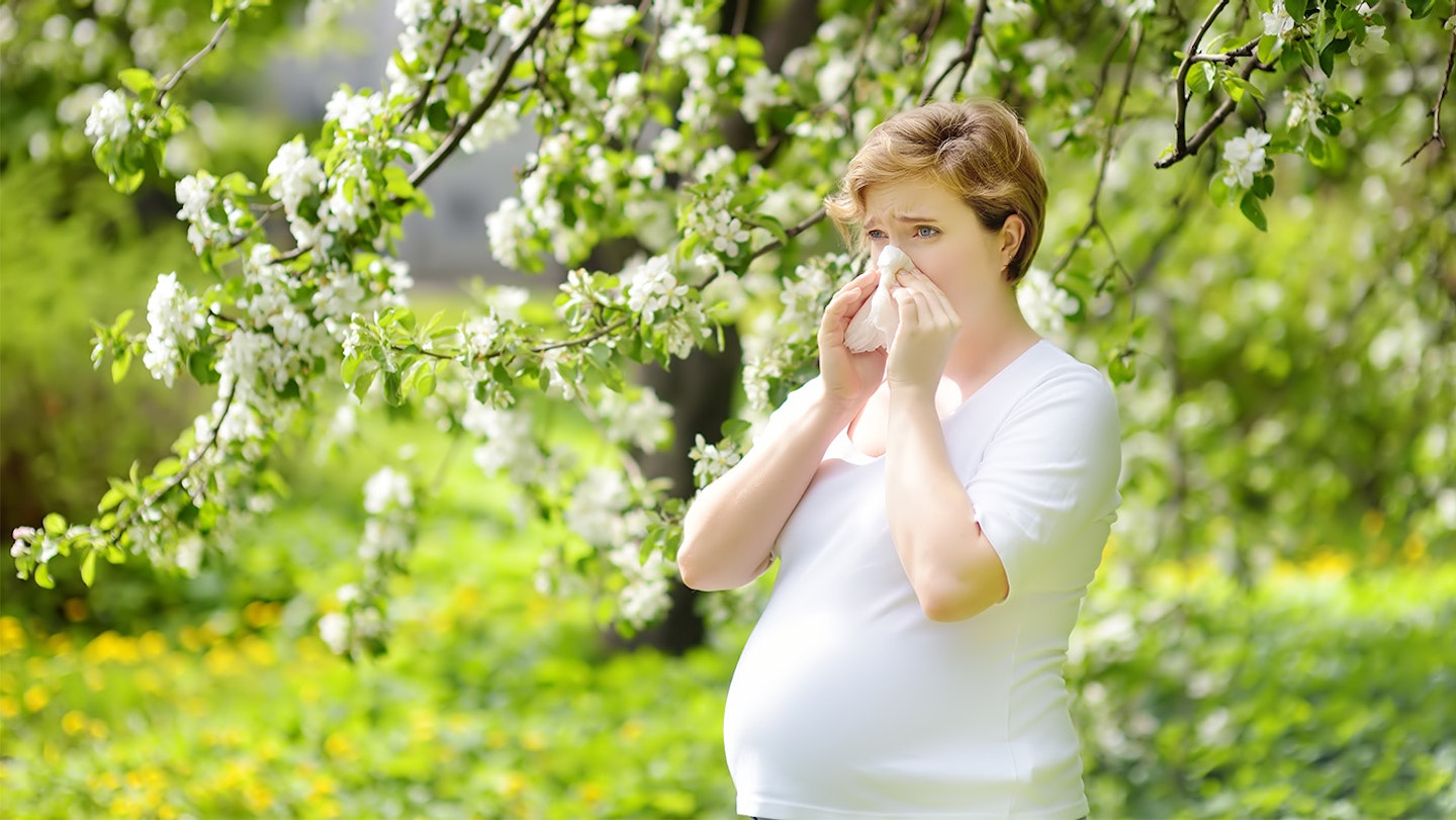 pregnant woman with hay fever blowing nose