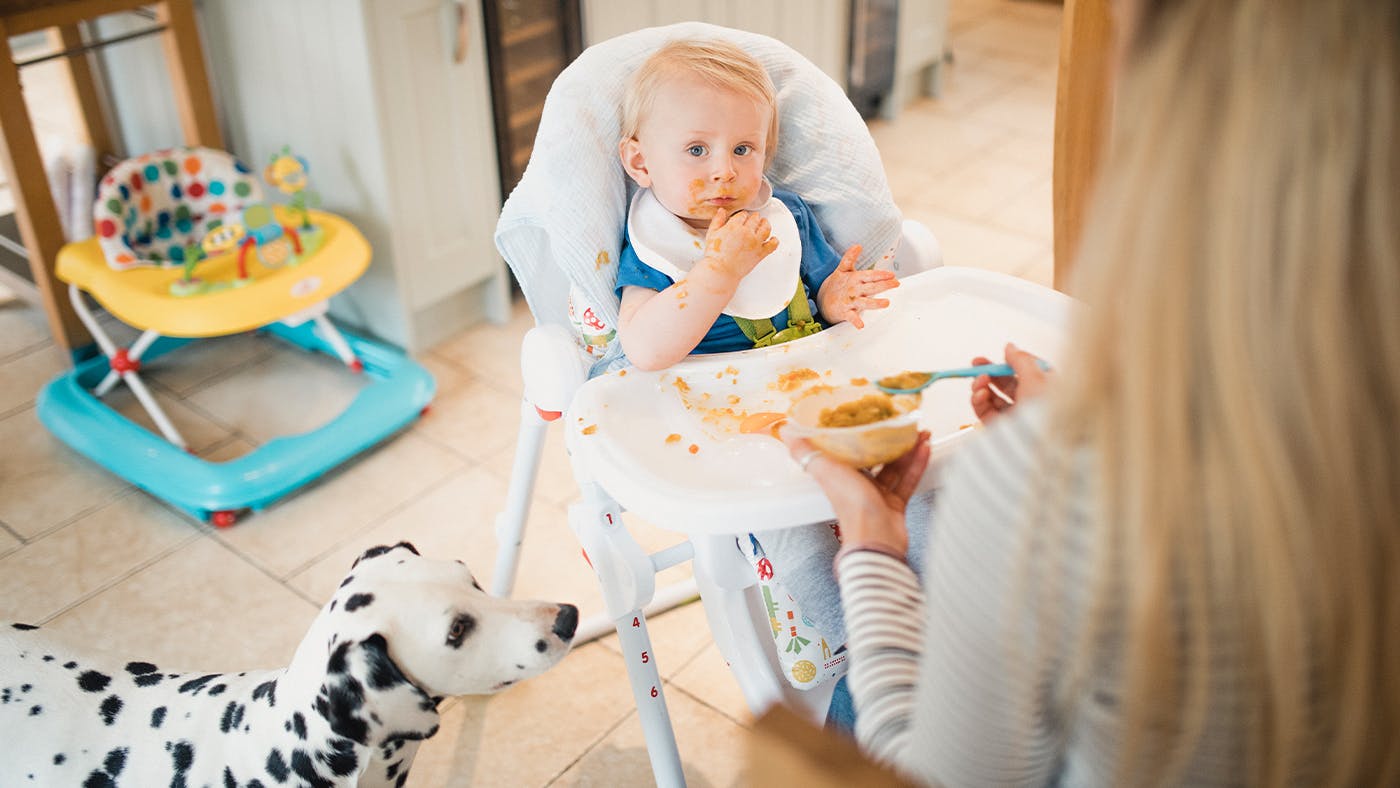 Baby eating high clearance chair