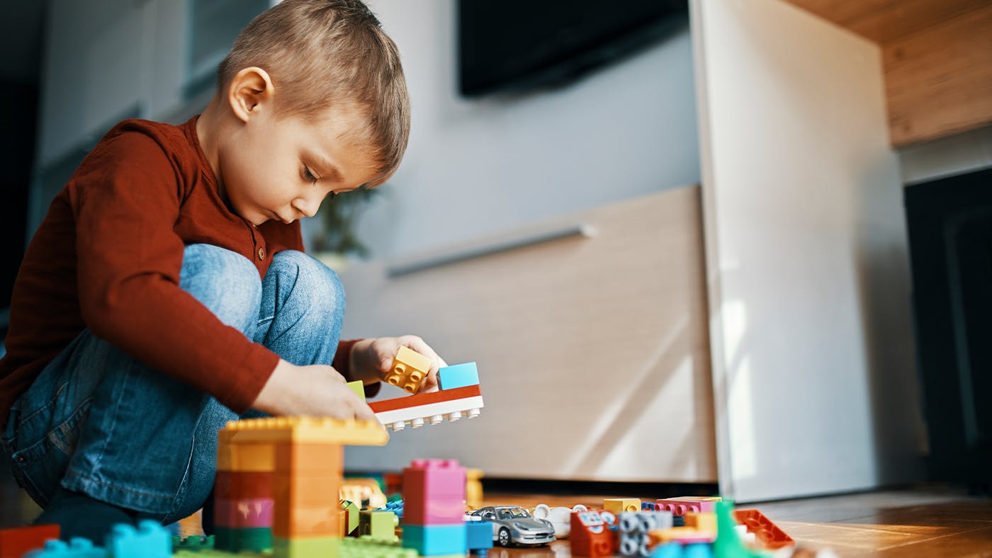 Duplo storage box ideas hot sale