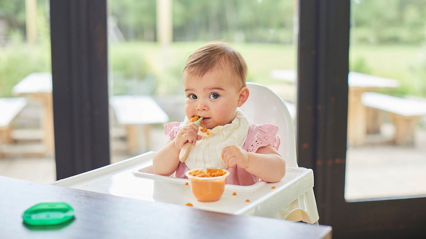 organix weaning range