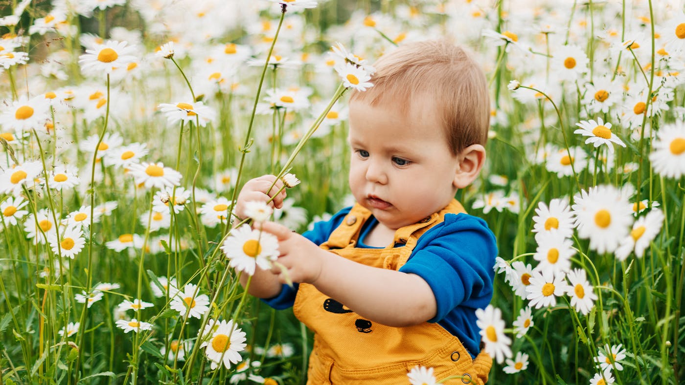 25 nature boy names inspired by Earth