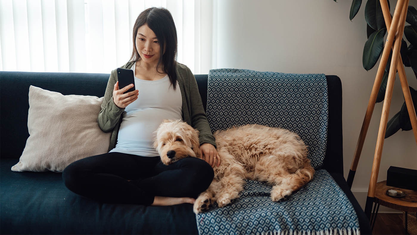 Does Your Dog Know When Your Pregnant
