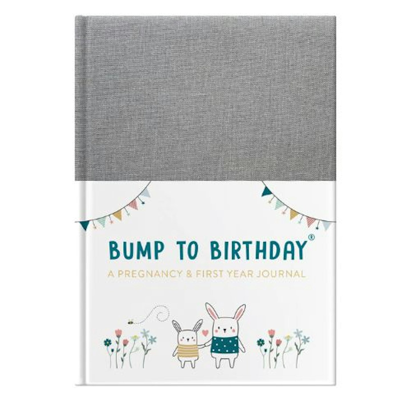Bump To Birthday: Pregnancy & First Year Journal