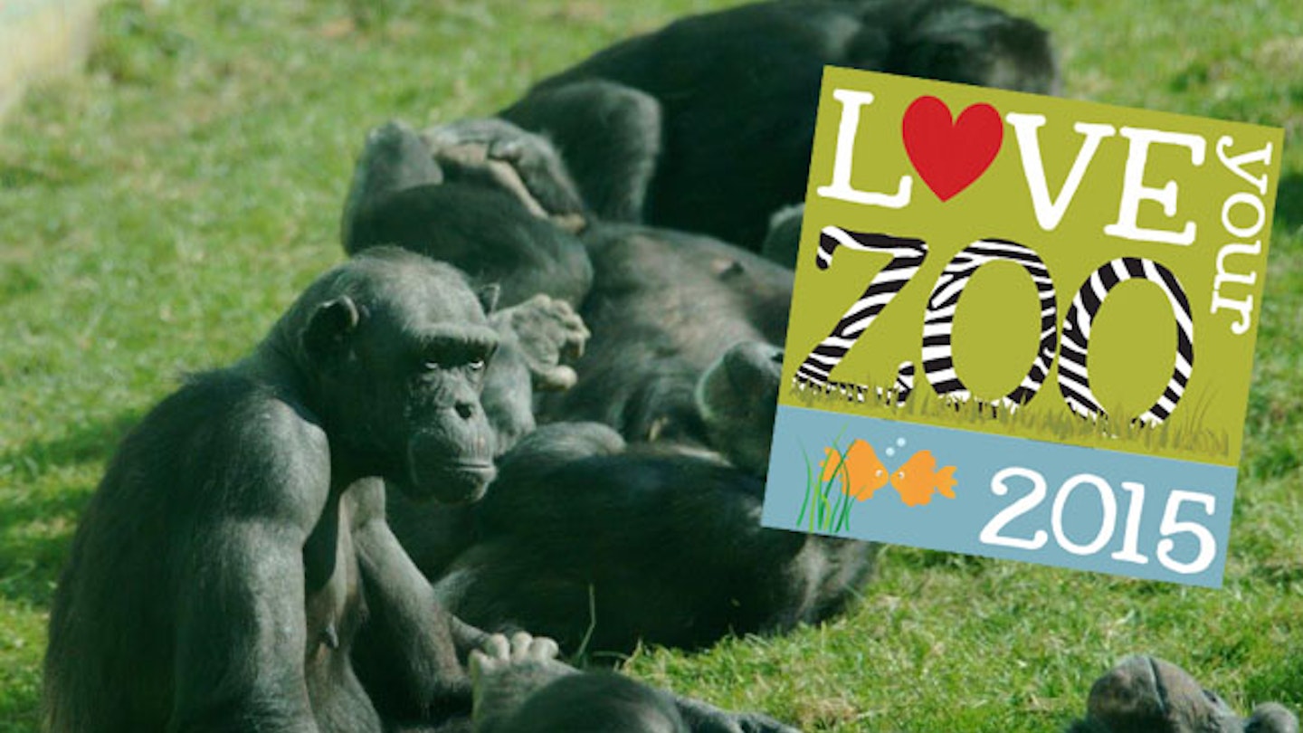 Love Your Zoo Week 2015