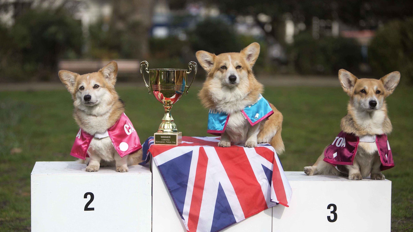 What will the Royal baby be called? The Corgis say Alexandra!