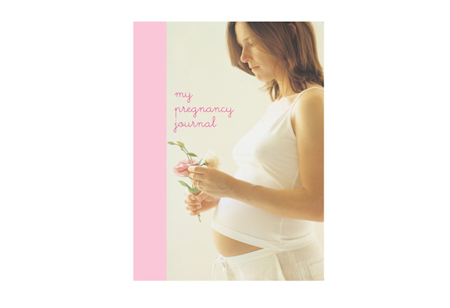 Pregnancy journal, £14.99, <a title="http://www.rylandpeters.com/" href="http://www.rylandpeters.com/" target="_blank">rylandpeters.com</a>