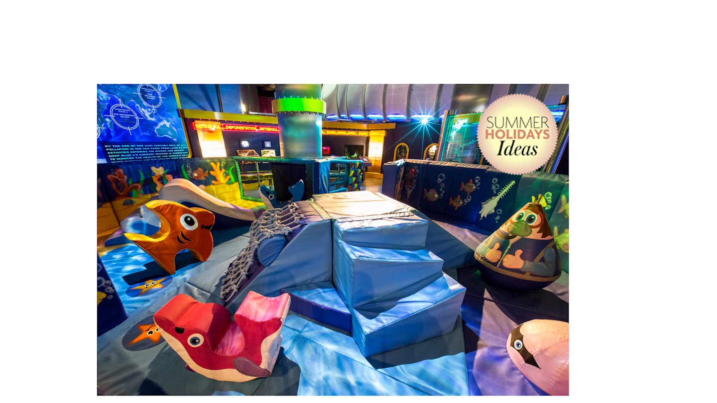 Toddler days out guide: The Deep Aquarium, Hull