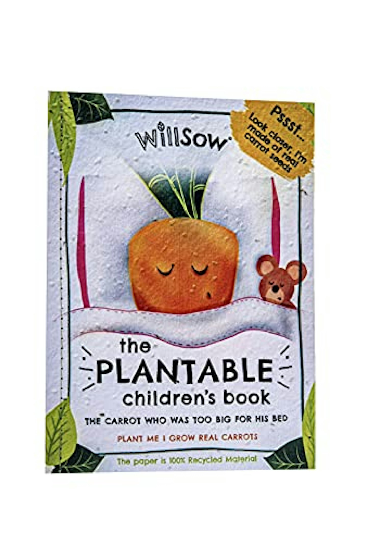 Willsow Books: The The Carrot Who Was Too Big For His Bed