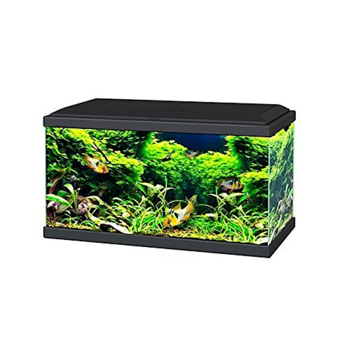 Ciano Black Aqua 60 LED Tropical Glass Aquarium