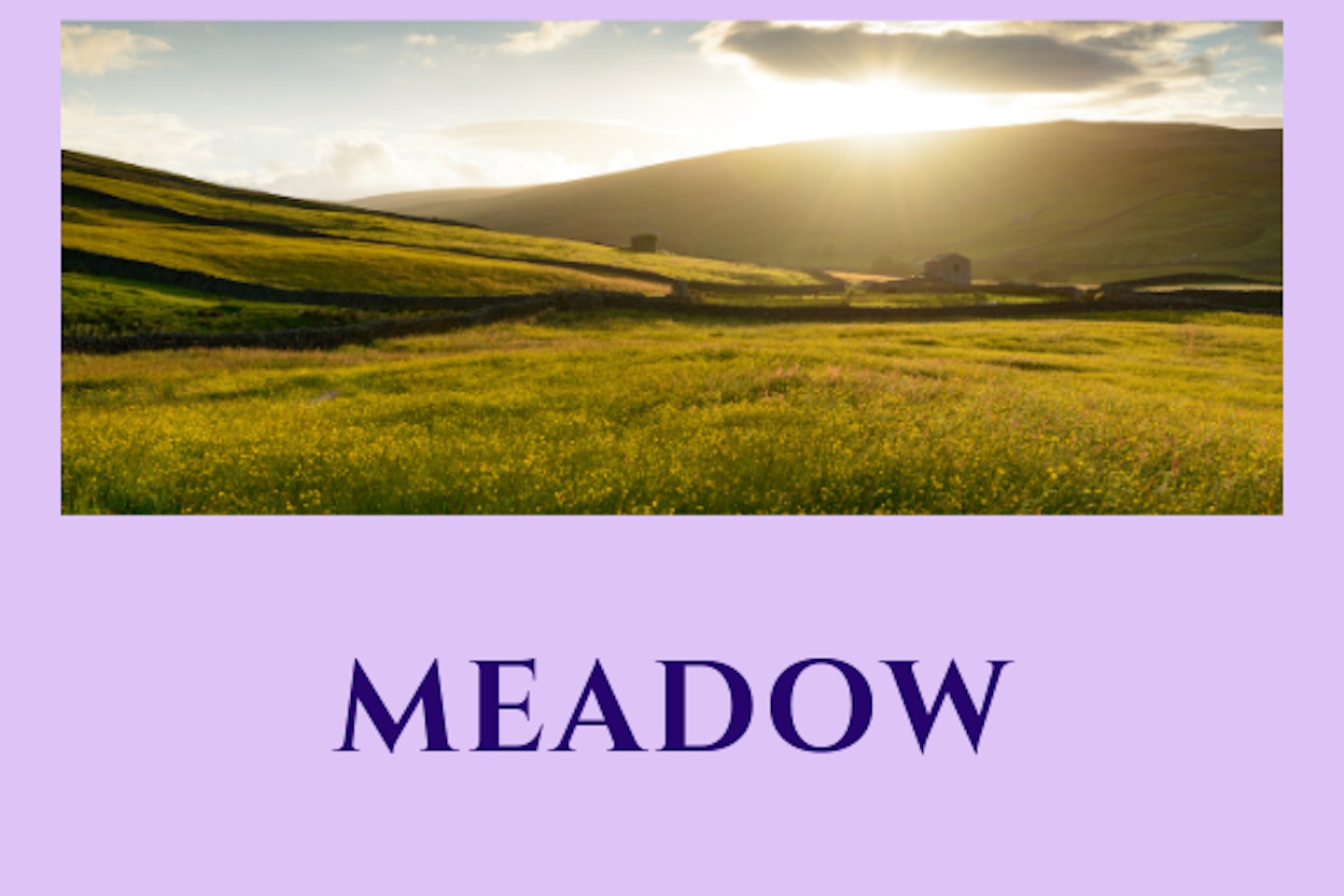 Meadow