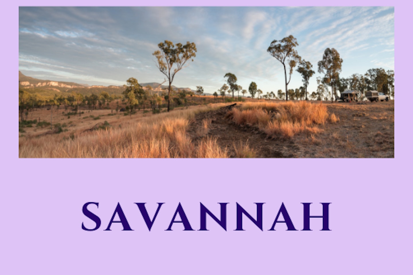 Savannah