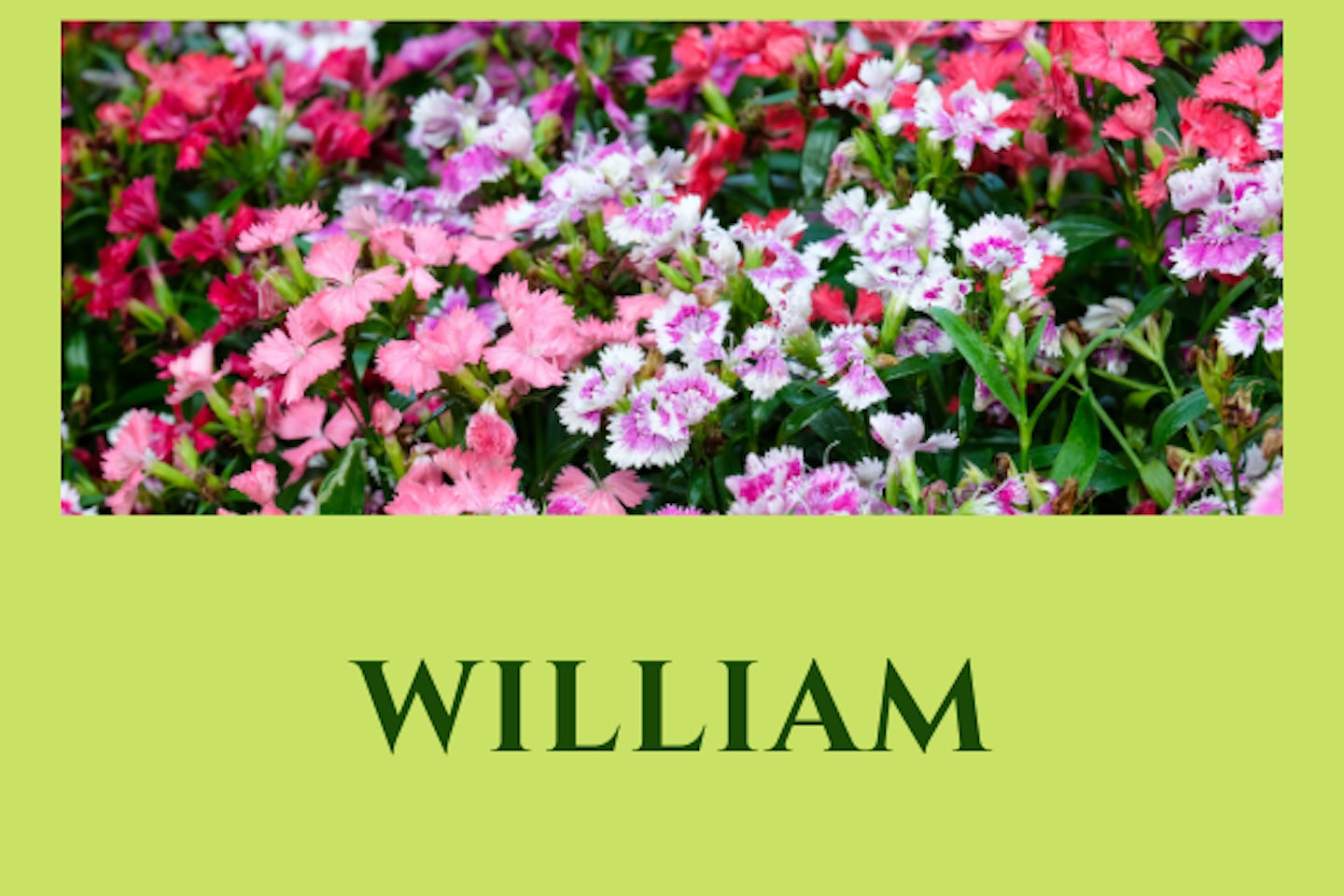 William