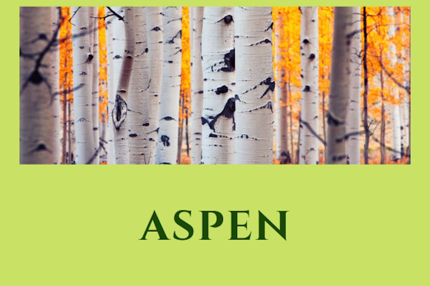 ASpen