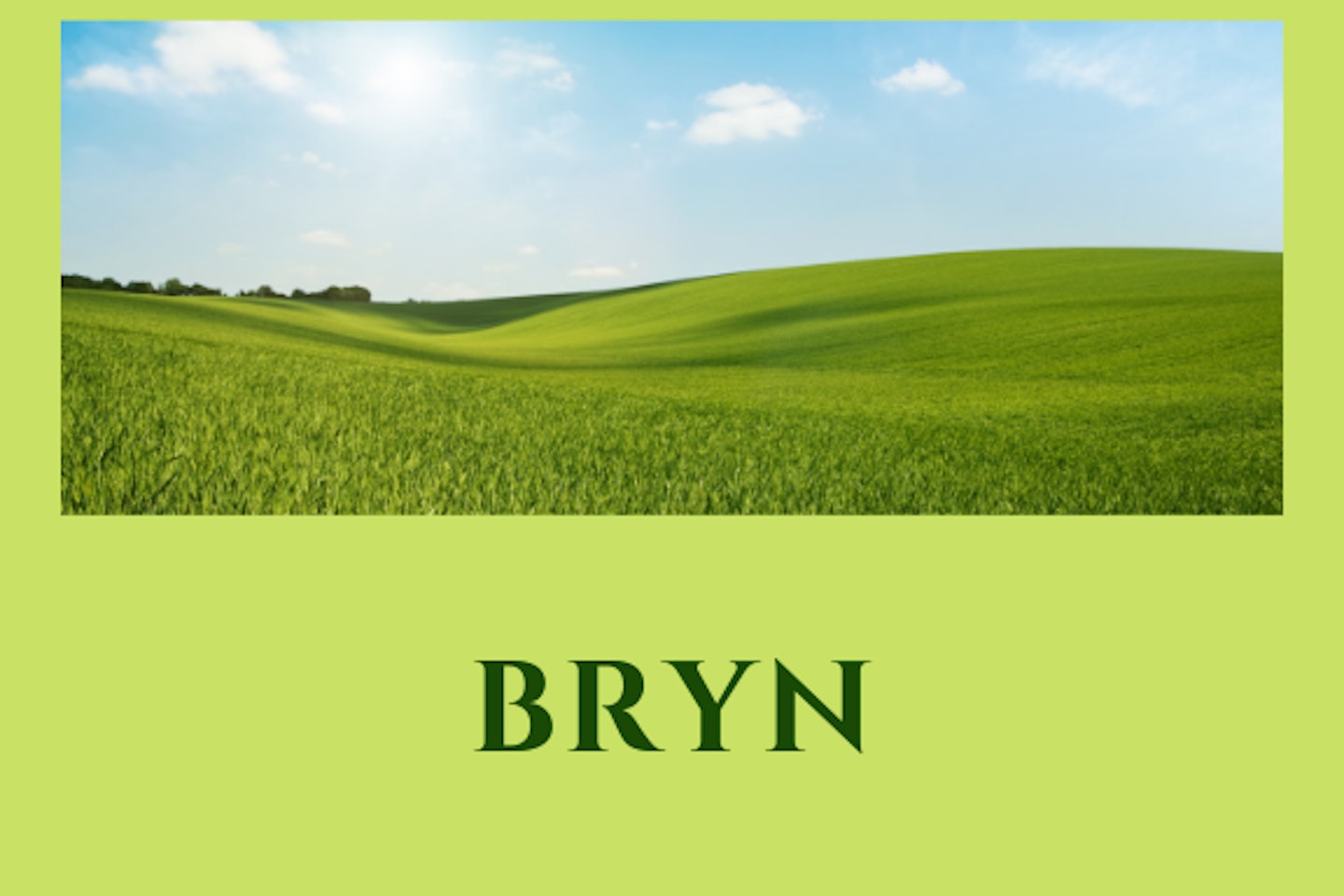 Bryn