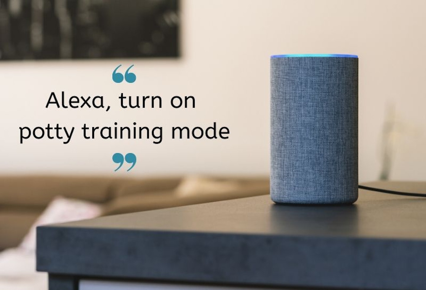 Mum uses  Alexa to help potty train her son (and we think