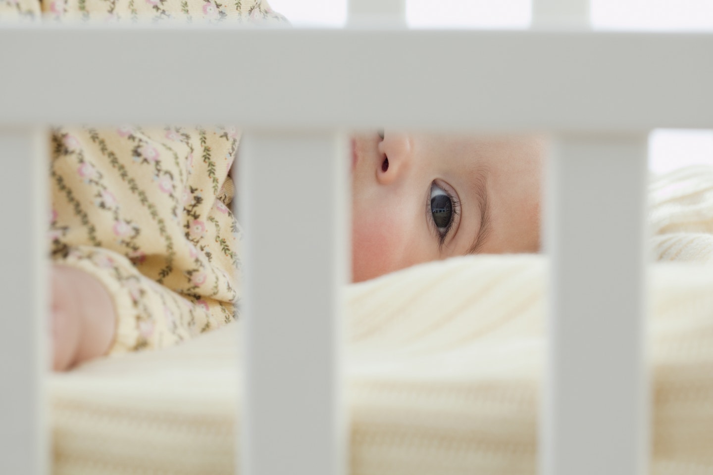 baby in a cot