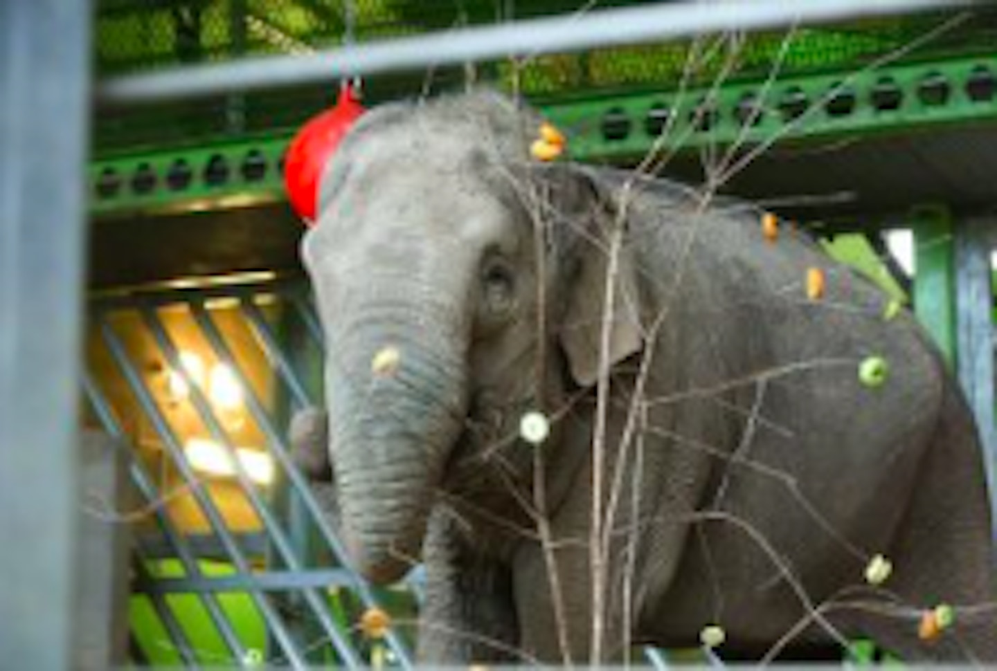 Wildlife Wonderland at Belfast Zoo