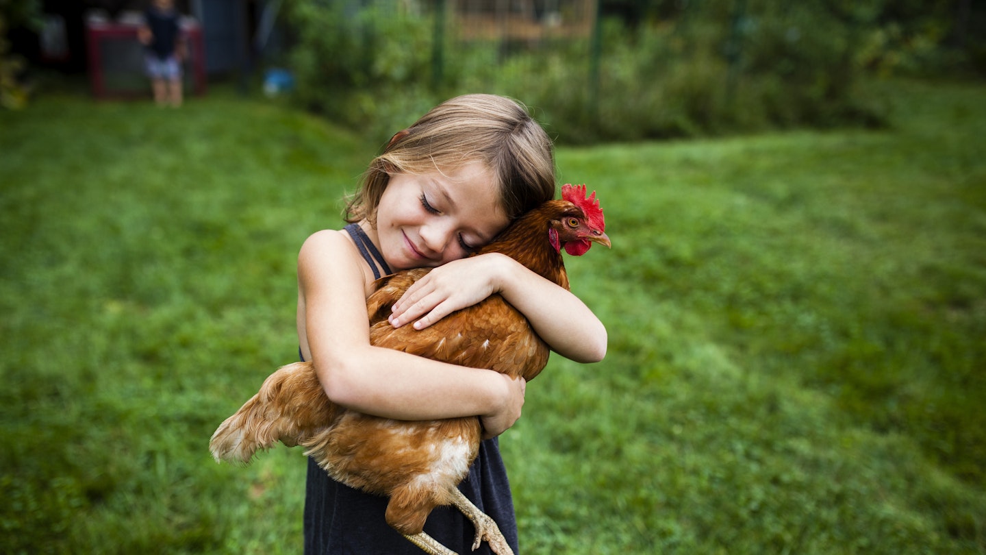 Girl who loves chickens