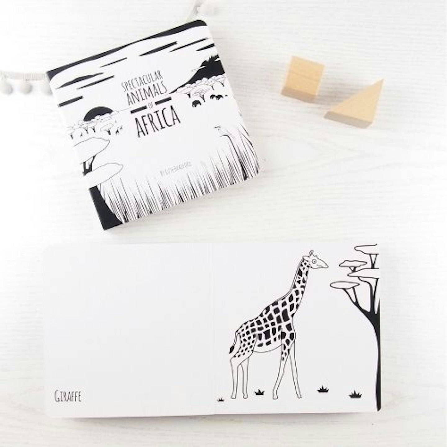 Black And White Baby Board Book Africa