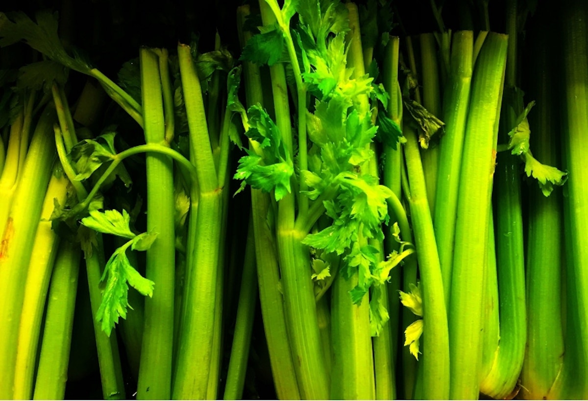 Bloated postpartum tummy? Add these 12 foods to your diet