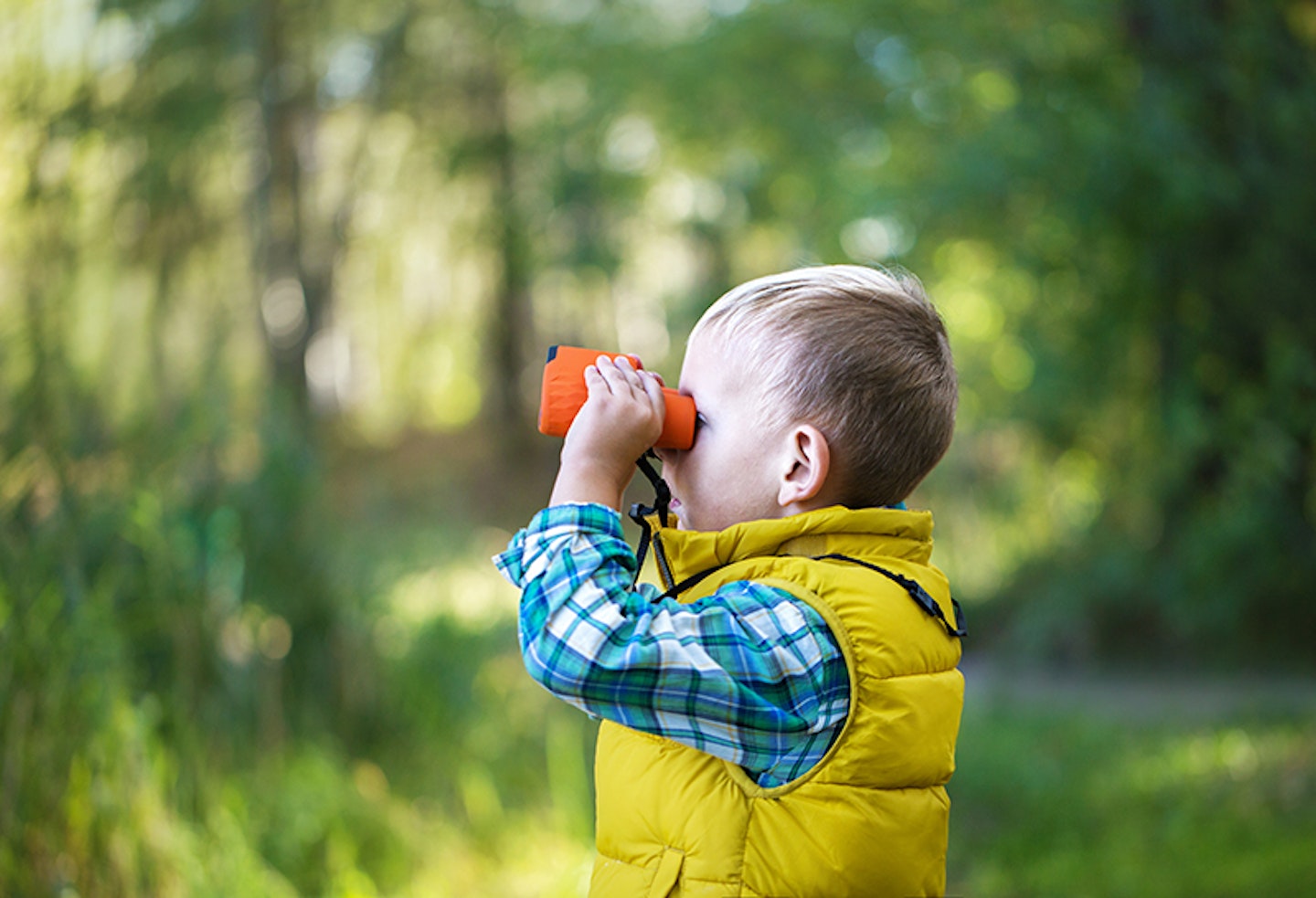 Birdwatching for toddlers: everything you need to get started