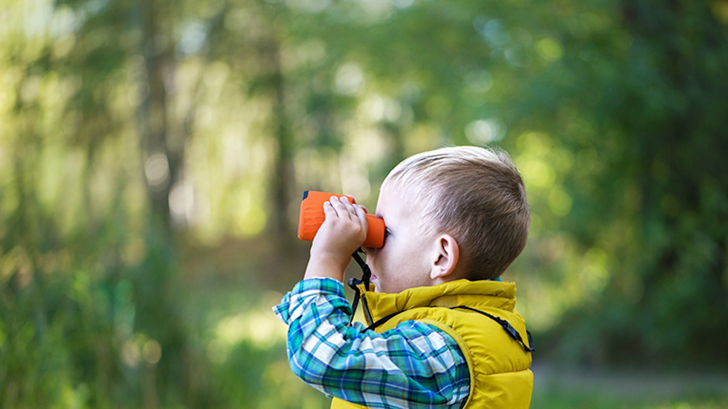 Birdwatching for toddlers: everything you need to get started