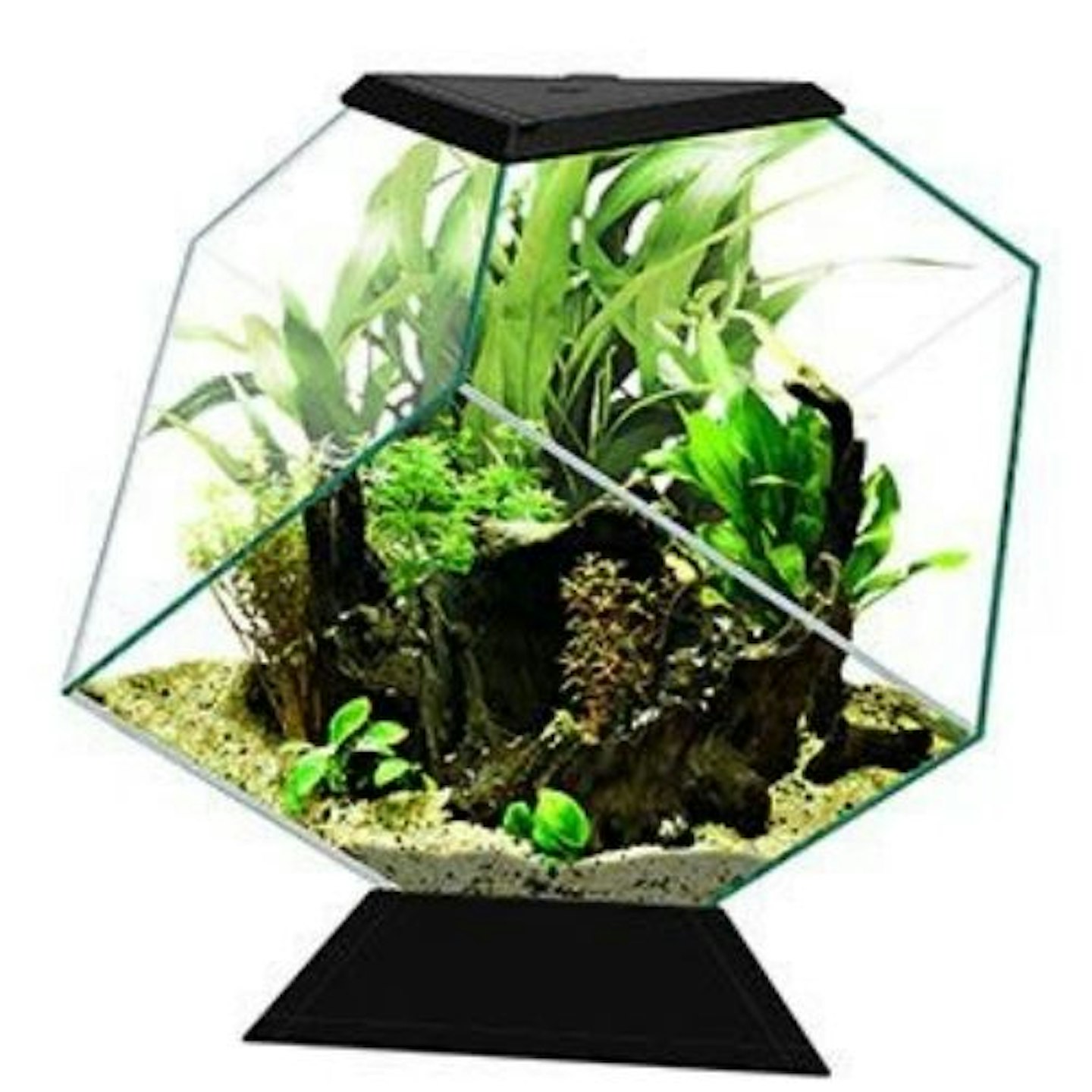 Ciano Nexus Diamond Aquarium 14 Litre