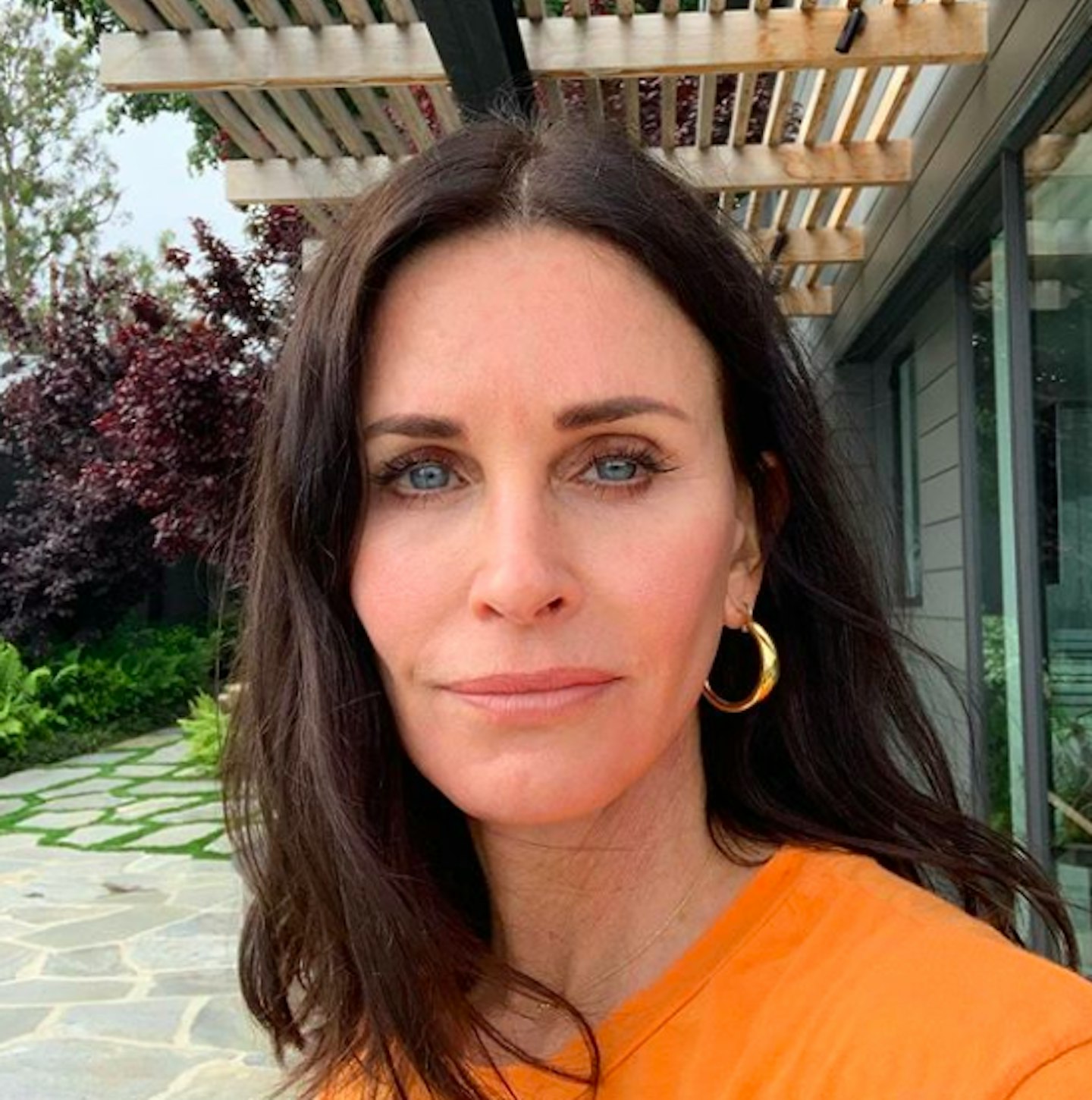 Courtney Cox