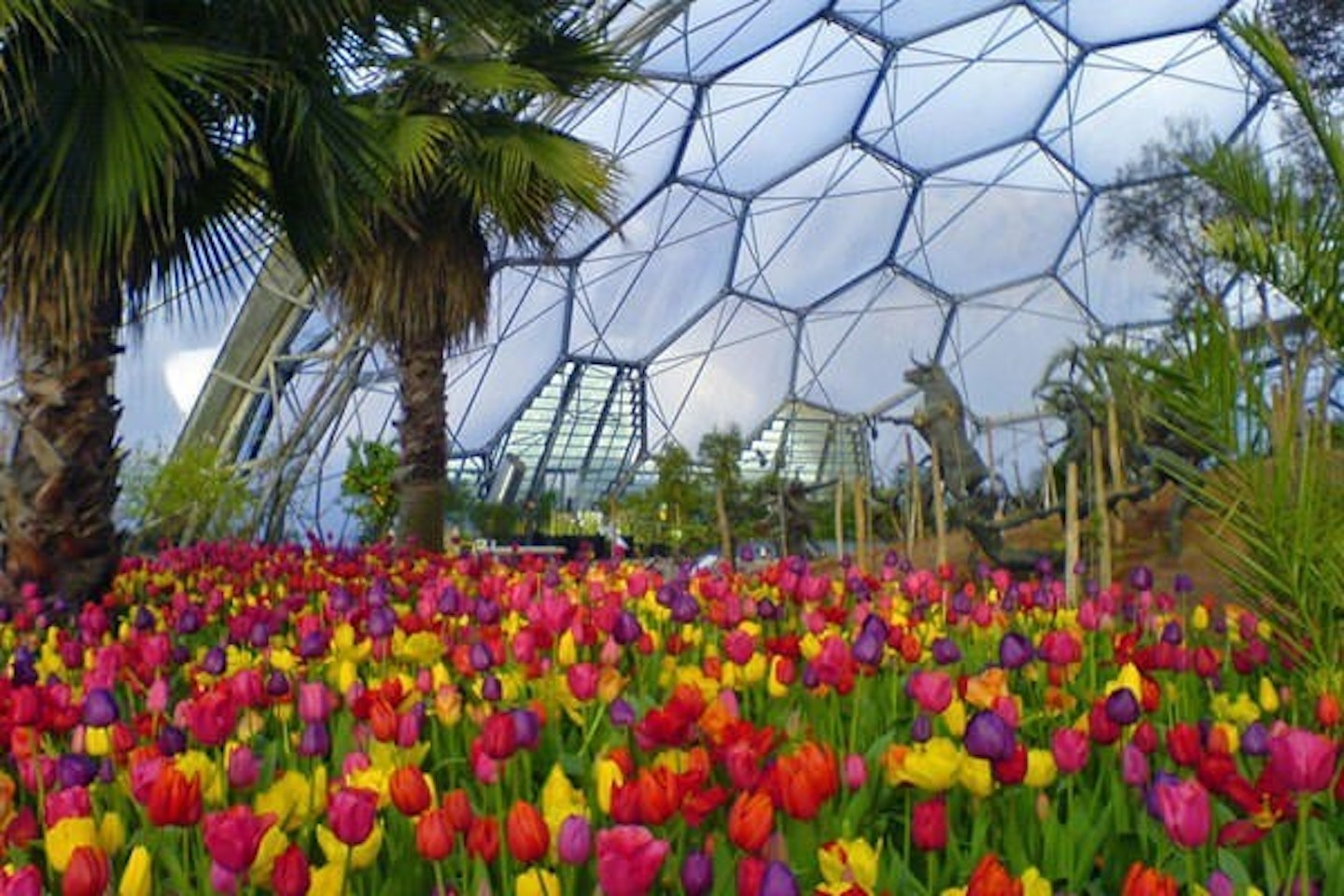 Family Entrance to The Eden Project