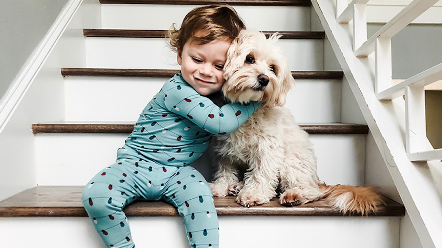 10 lovable dog breeds that are pawfect for families