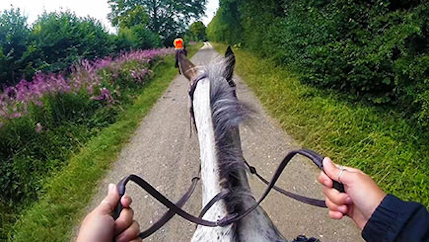 Family Horse Ride and Walk