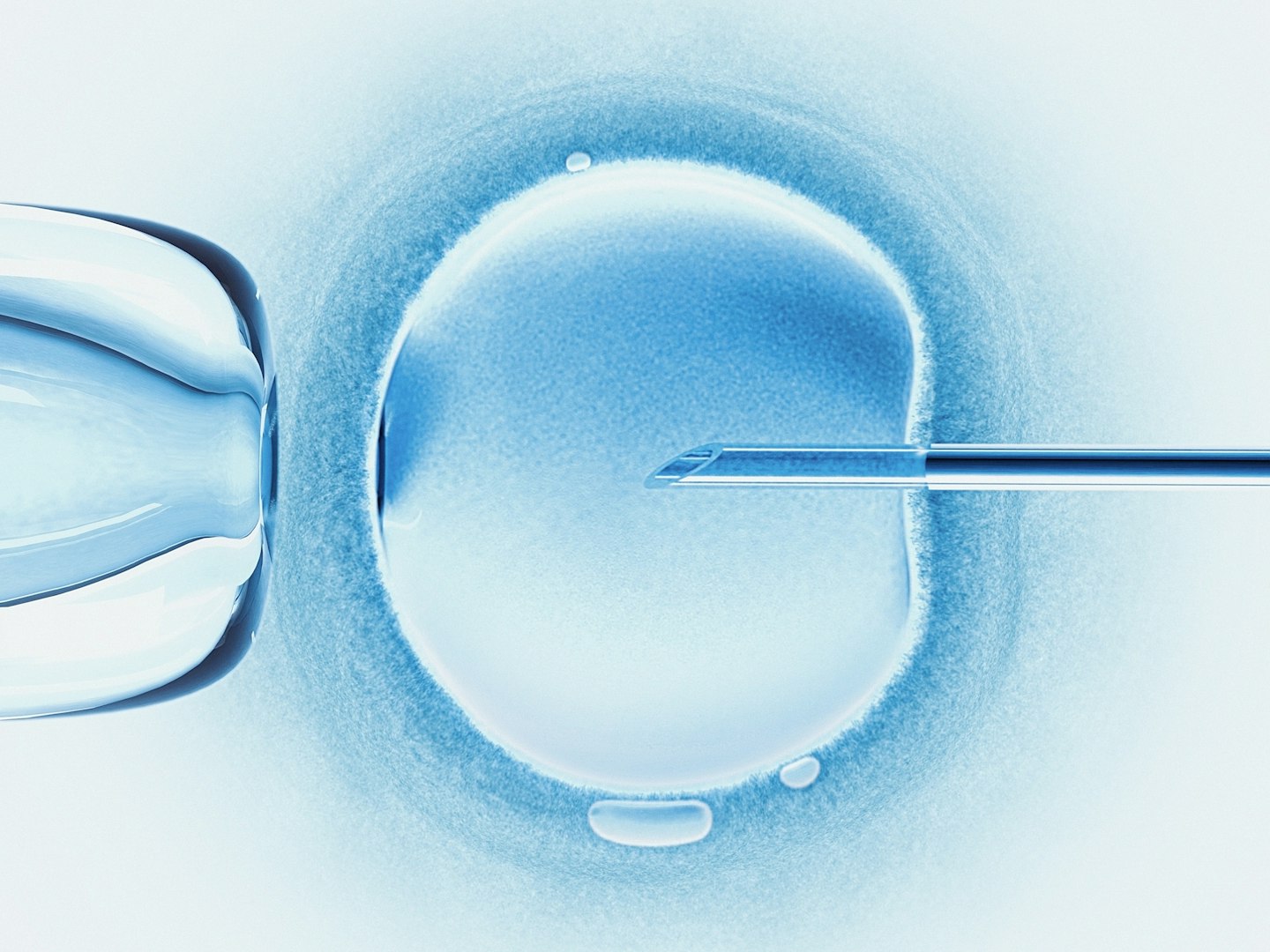 Result of Fertility treatments