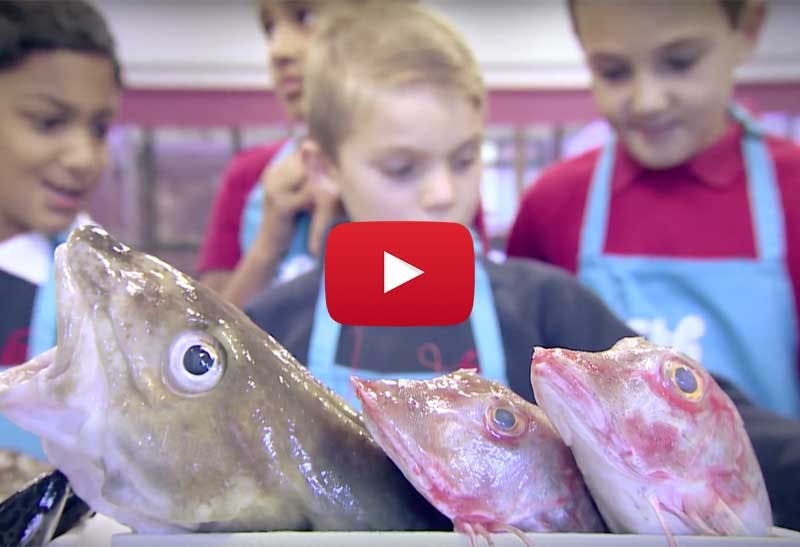 Get fish on the menu for children | Family Life | Mother & Baby