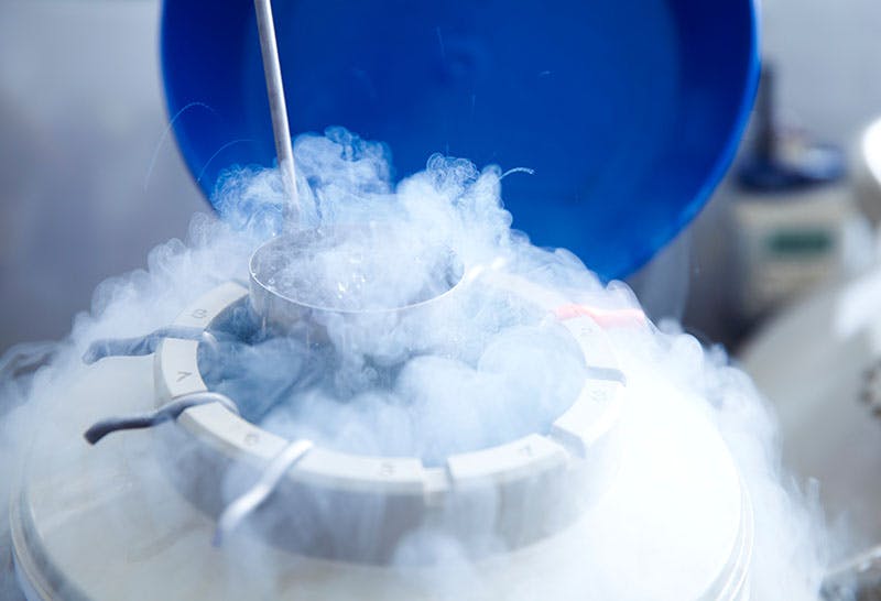 Freezing eggs in the UK Everything you need to know