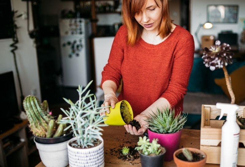 The Best Garden Gifts For Mum